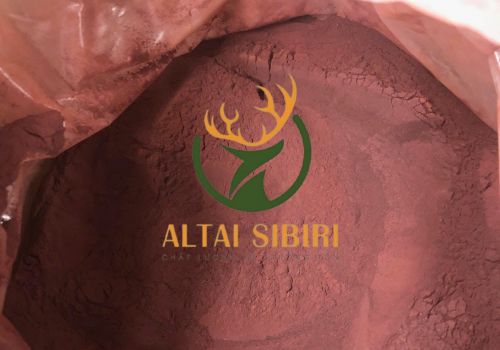 Huyết Nhung Hươu Khô Sibiri (pantogematogen)