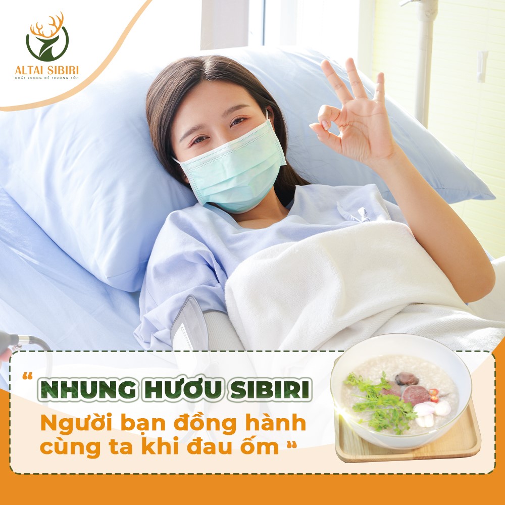 cháo nhung hươu cho người ốm