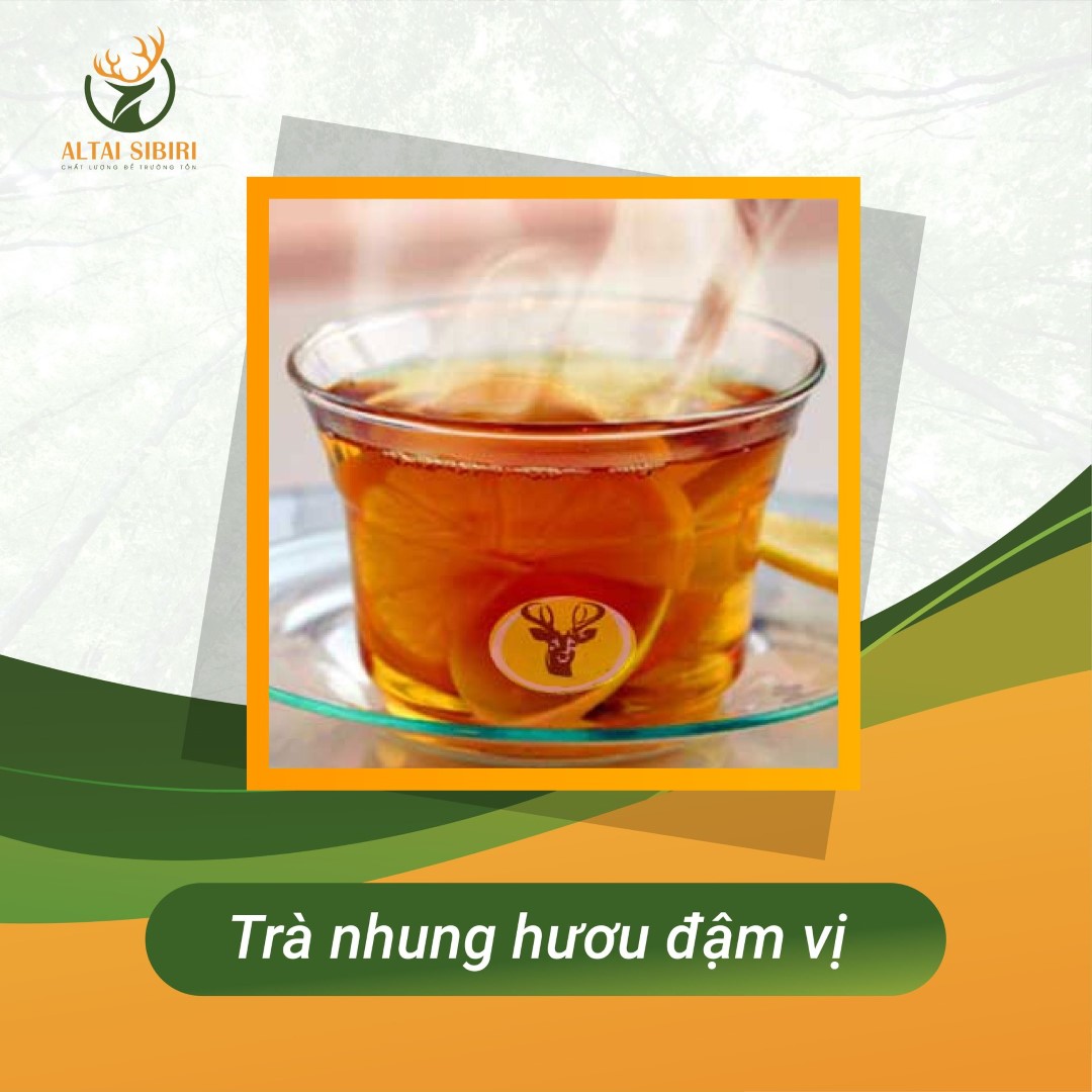 trà nhung hươu khô