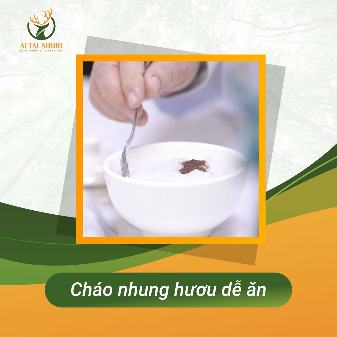 bột nhung hươu nấu cháo