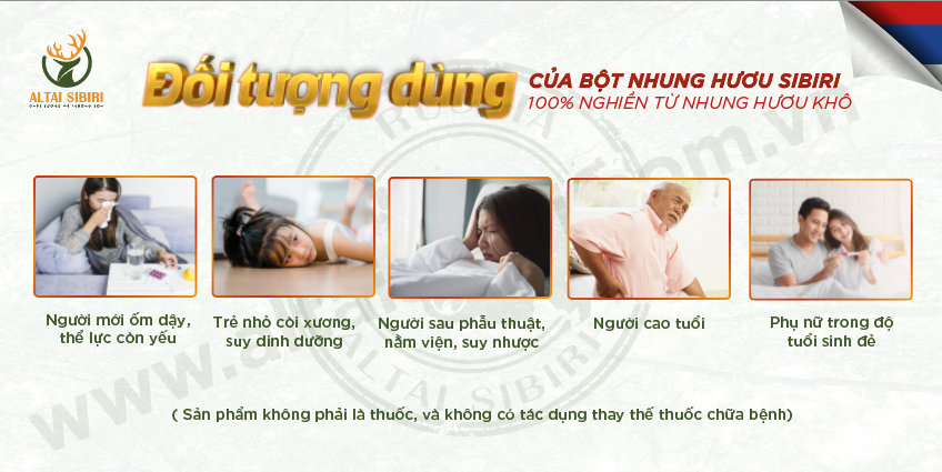 Bột Nhung Hươu Sibiri (Hộp 100gr)