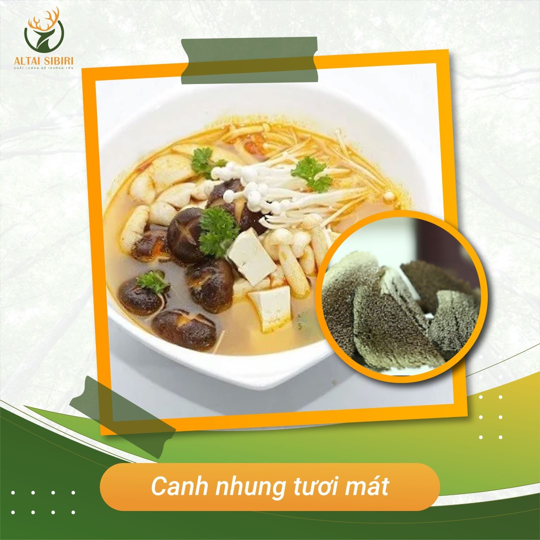 nhung hươu nấu canh