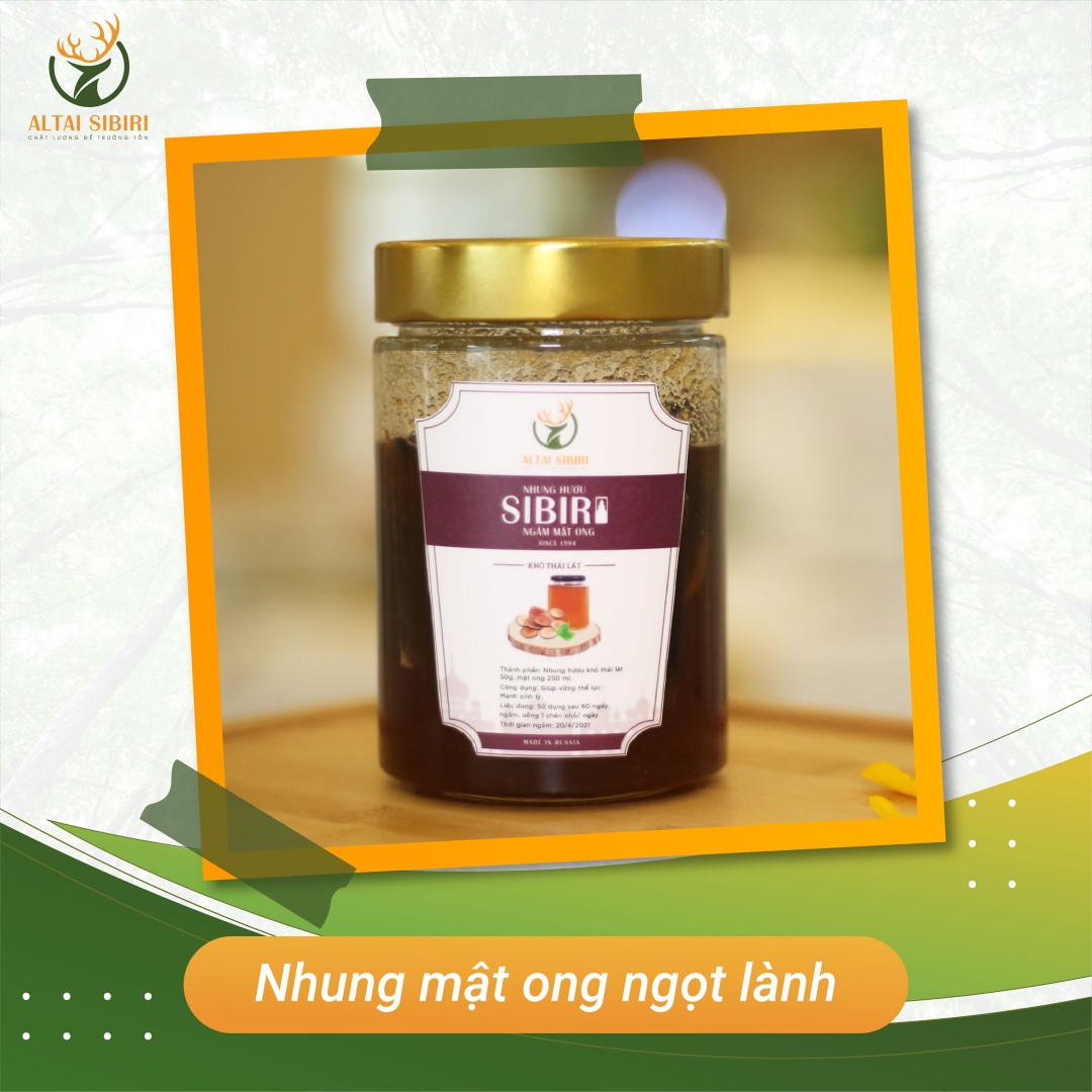 nhung hươu ngâm mật ong