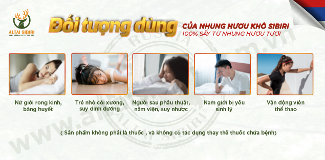 Nhung hươu khô Sibiri - Velvet Sibri (100gr)